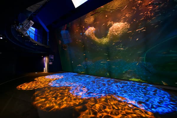 夜間水族館氛圍