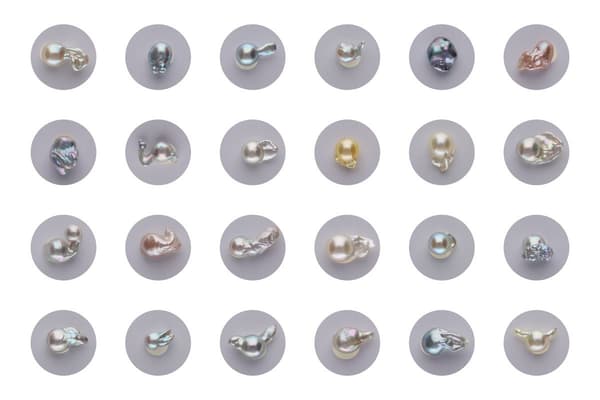 通过 Osakanapearl 的新价值实现多样性和海洋保护