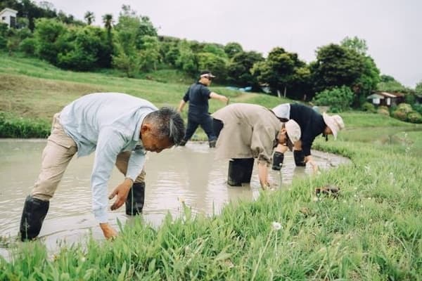 體驗活動