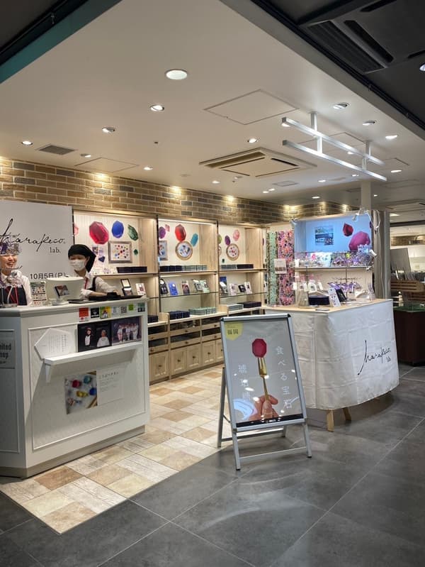 Harapeco Lab 快闪店场景