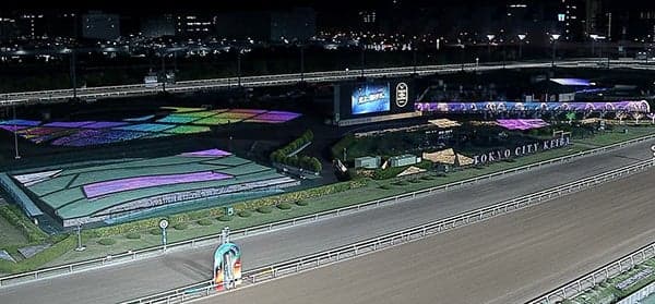 全新灯光秀图片