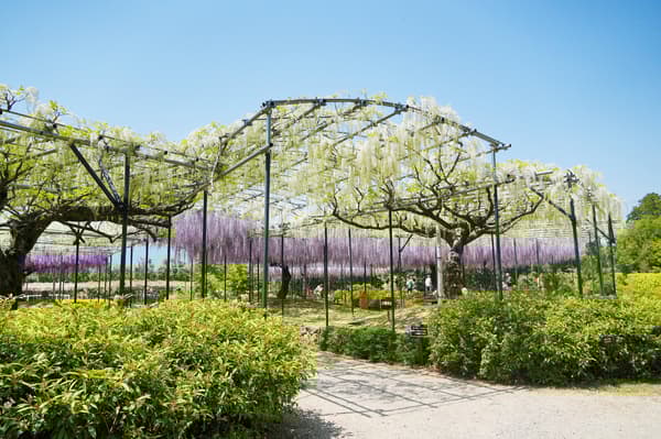 截至2025年4月30日