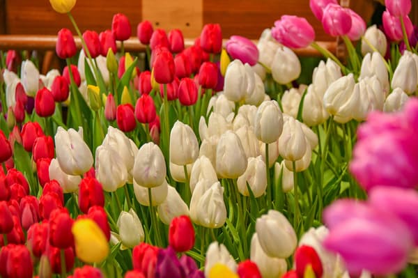 บรรยากาศที่มีเสน่ห์สร้างสรรค์ด้วยวัสดุไม้และอิฐ