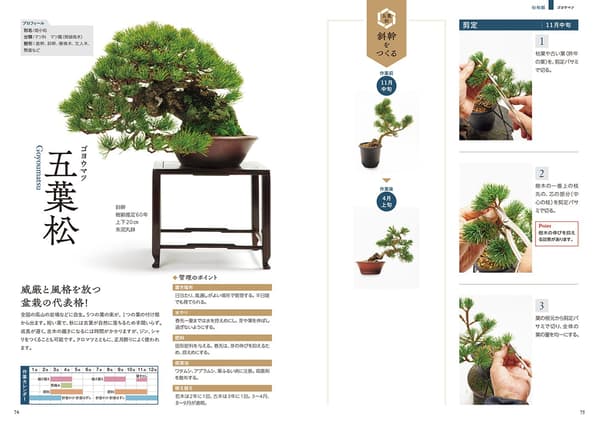 第3章侧重于受欢迎的盆栽品种