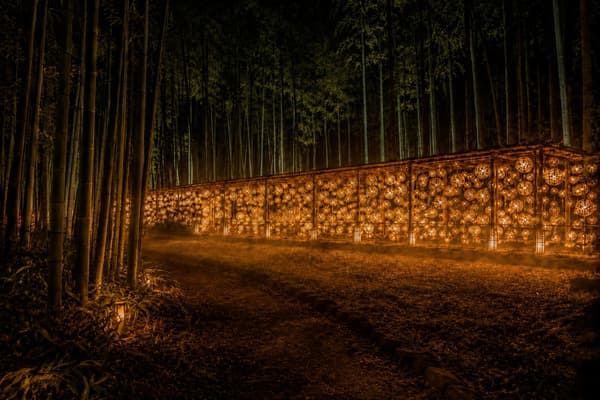 区域2现场图片