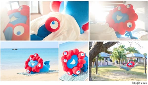 MYAKU-MYAKU写真集封面样本