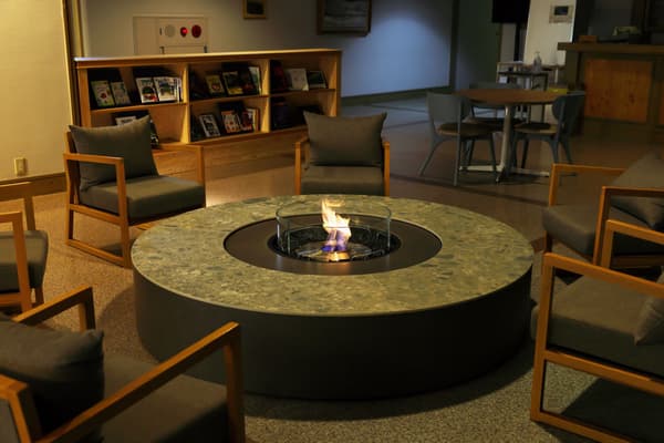 Bioethanol fireplace