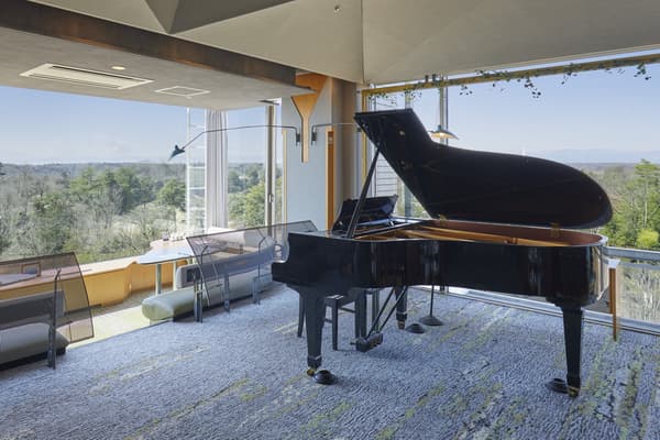 Live piano performance