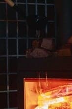 A quiet moment by the flickering fire