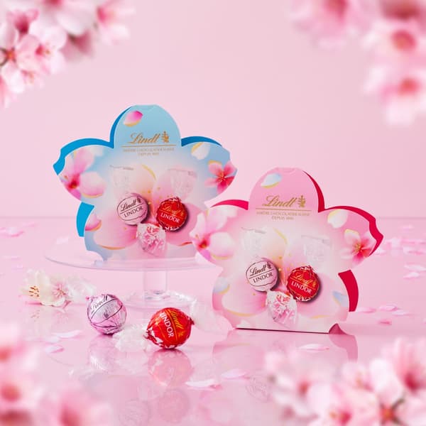 Lindor Mini Gift Box