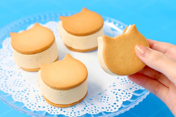 NEKO NEKO 暑假——貓咪咖啡廳活動主視覺