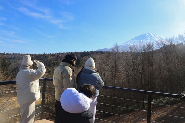 從新觀景台看到的富士山景色