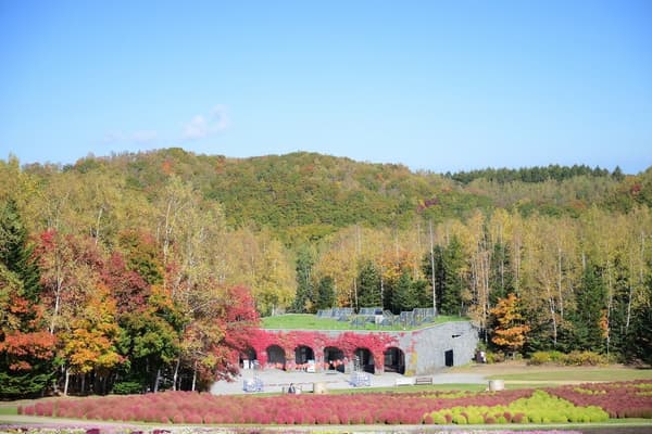 Autumn leaves around the Central Entrance in the Central Zone (photographed October 11, 2026)