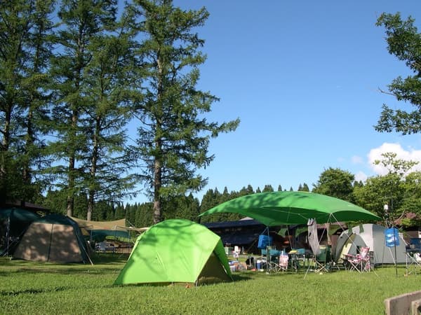 Free Tent Site – choose your own spot, layout, and view