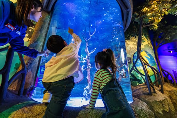 SEA LIFE Nagoya Interior 5