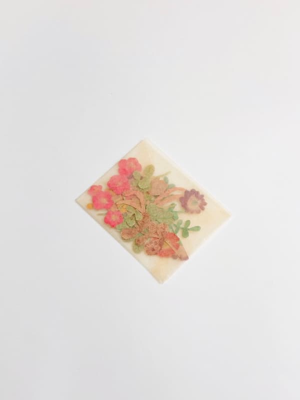 Fumi Imamura, Language of Flowers (2026)