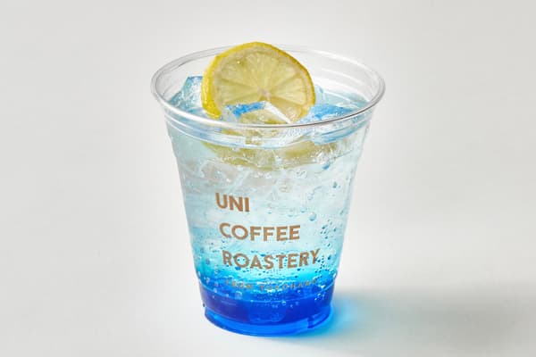 Chocolate Chunk Cookie