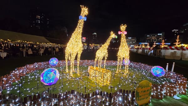 Pohon Natal raksasa di Christmas Market di Osaka tahun 2025