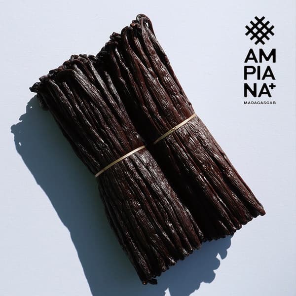 Madagascar Bourbon vanilla beans