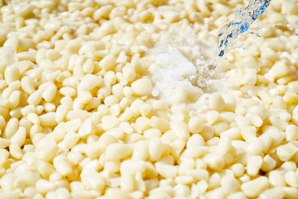 Pure white sandhill rakkyo