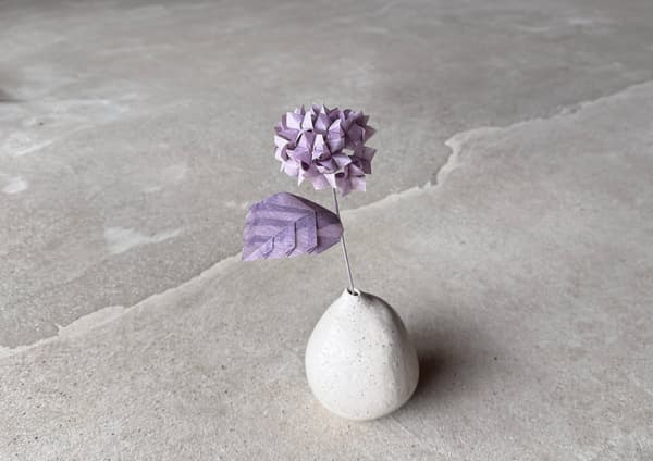 Hananowa (Hydrangea)