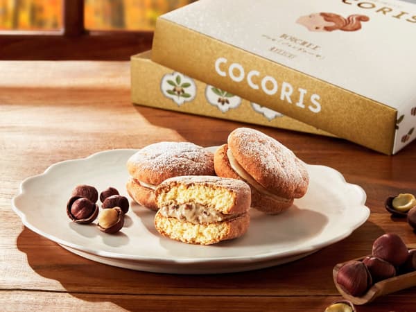 限量版 Busse Gianduja