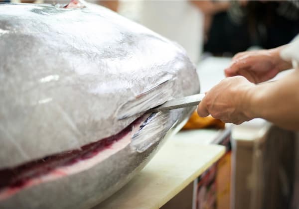 Demonstrasi pemotongan langsung tuna sirip biru budidaya di Umeda Marche