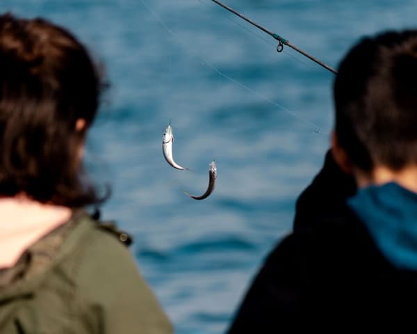 Fishing experience in Furano's clear streams