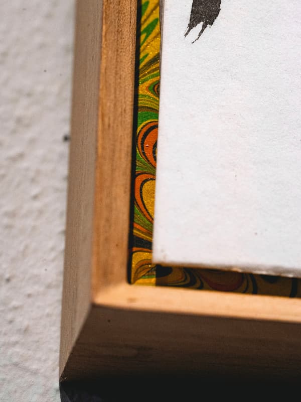 「殼」的三維呈現