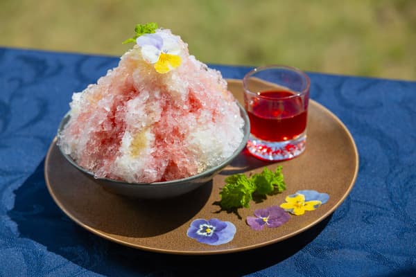 Kolam renang malam dengan pencahayaan di malam hari di Mercure Fukuoka Munakata Resort & Spa