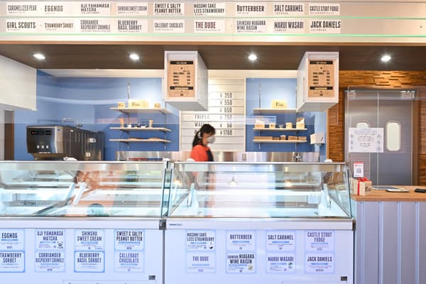 MT. DESERT ISLAND ICE CREAM