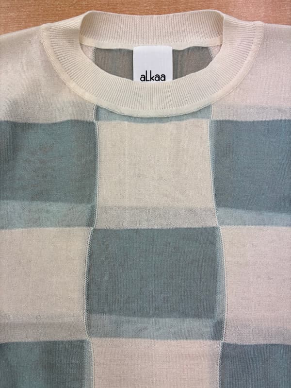 Block Check Sheer Top Knit