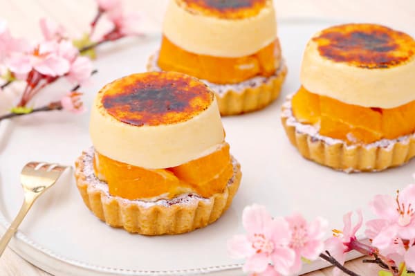 蒲郡不知火柑涩皮栗子蛋糕（田园调布店限定）