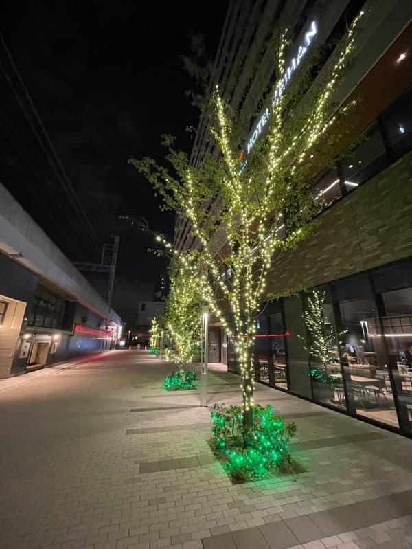 Gold trees at Namba Parks South