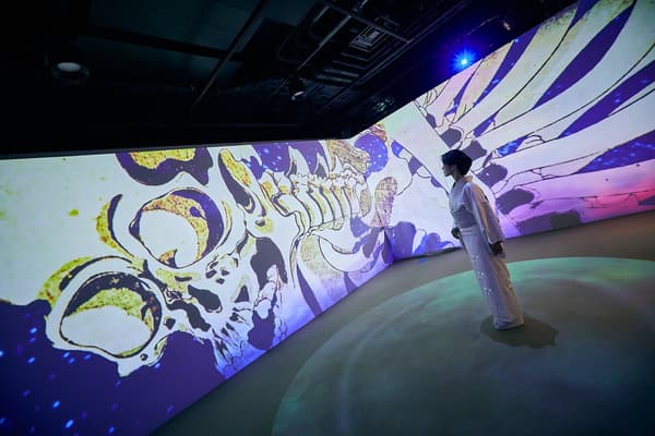 Ukiyoe Immersive Art Exhibition