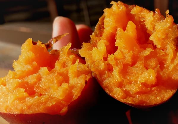 Oimoyasan moimoi