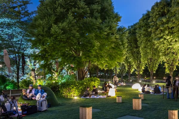 东京中城的夜间野餐场景