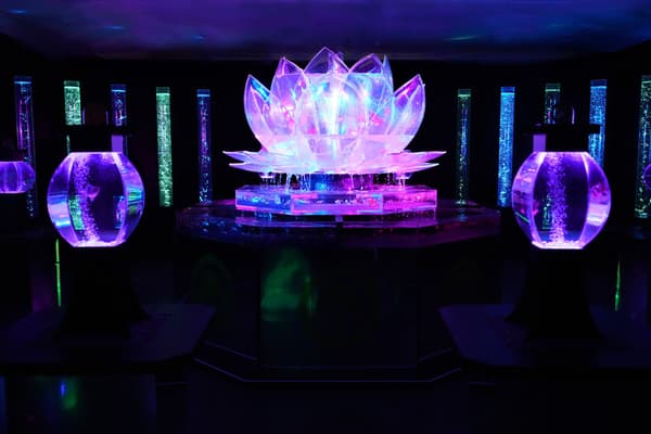 莲花rium/金鱼之竹林