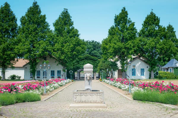 Komorebi Mori no Ibaraido park grounds