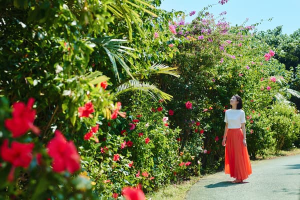 18 varieties of flowers bloom along Flower Road