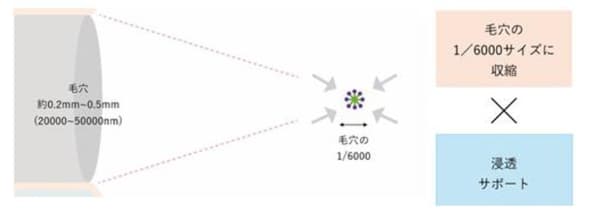 Diagram of the proprietary penetration technology