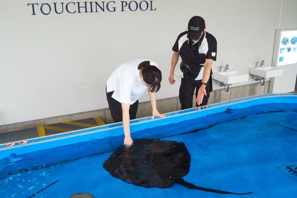 Niños observando una raya en la piscina de contacto