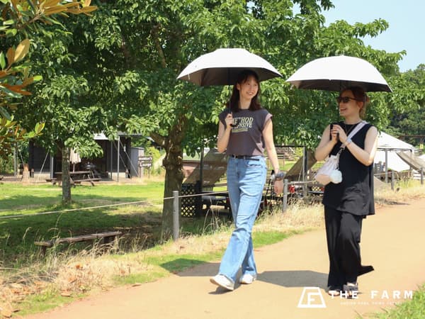 THE FARM的高性能遮阳伞租赁