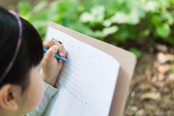 A child sketching outdoors