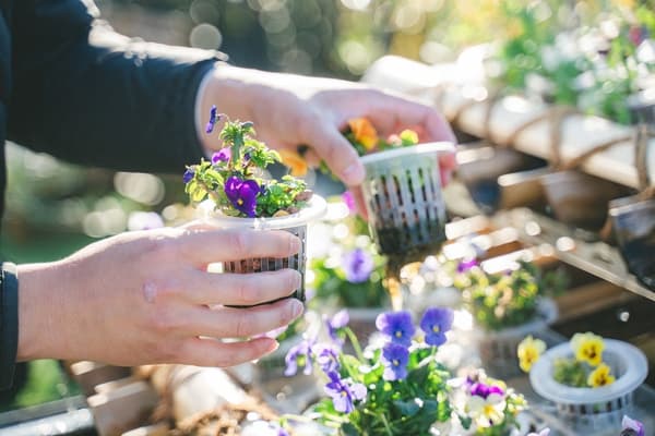 屋顶农场与城市绿色空间