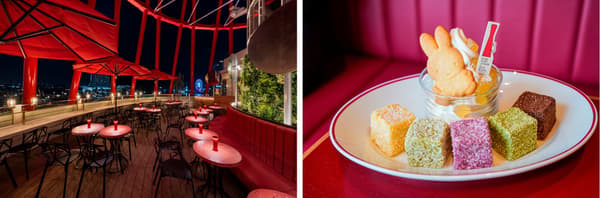 Collaboration sweets at PORT TERRACE: fluffy lamington cake with a Miffy cookie and milk soft serve