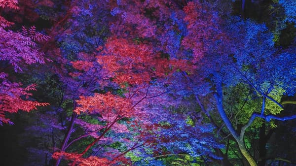 Resonating Trees