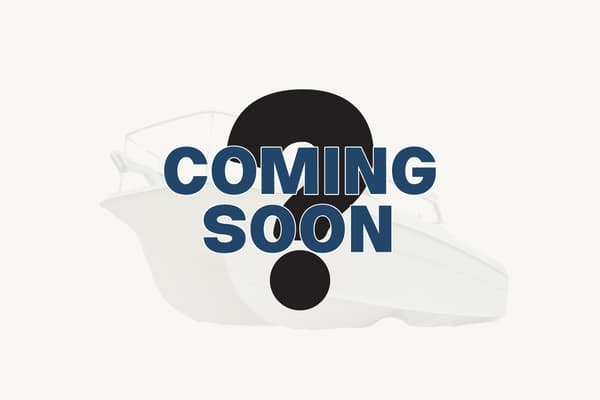 特殊包裝的遊船