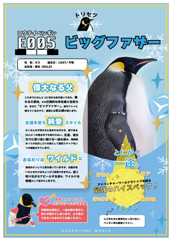個別企鵝檔案簡介