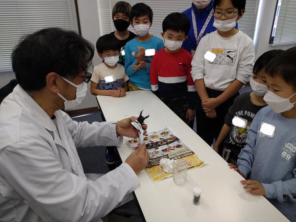 孩子们正在向昆虫专家学习